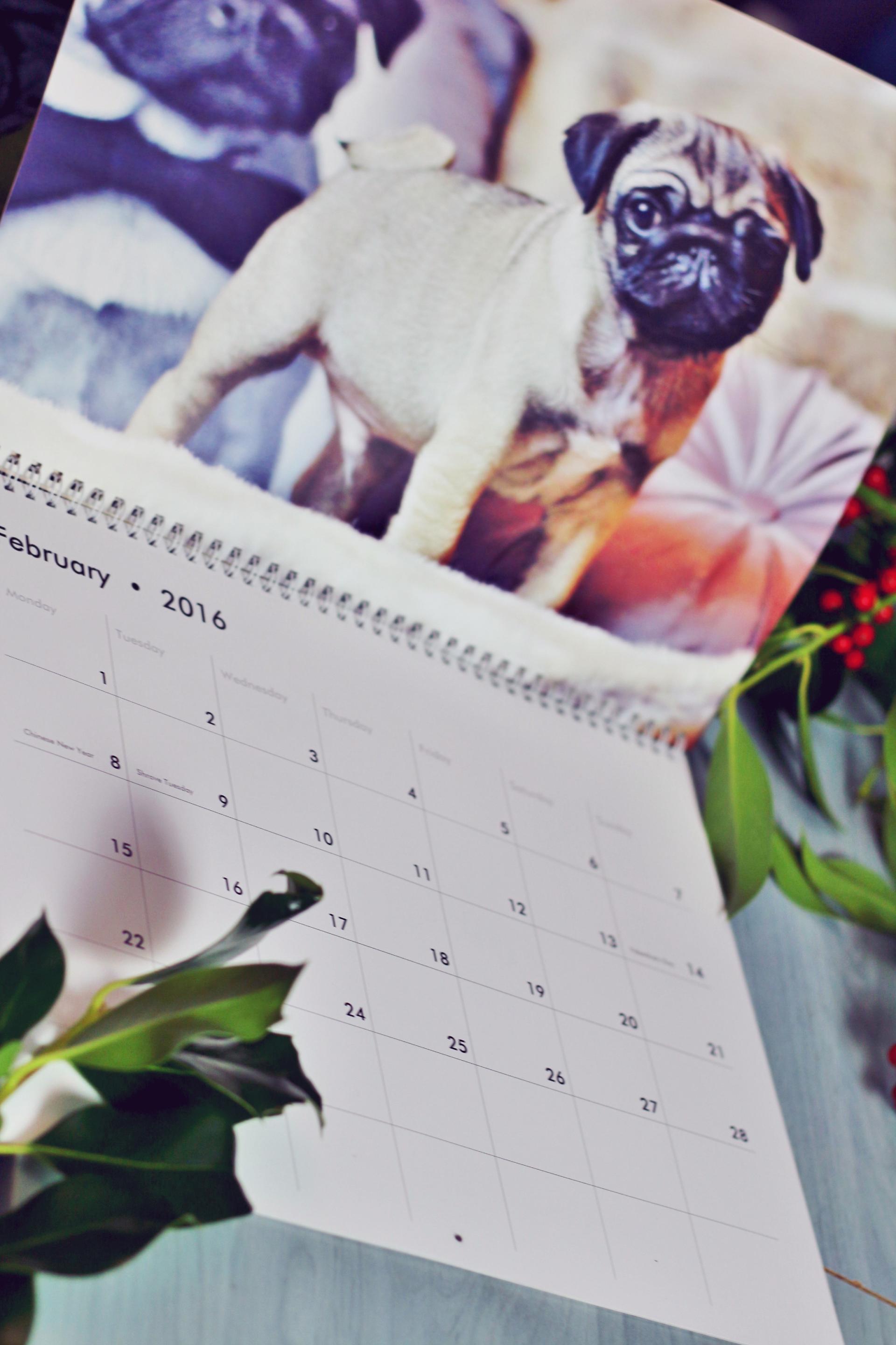 peronalised pug photo calendar zazzle