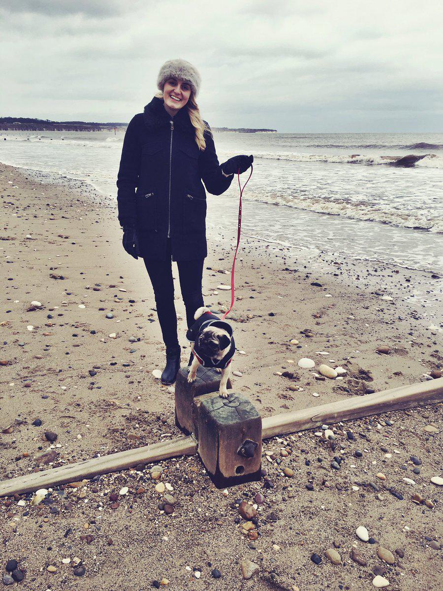 Pug Puppy’S First Holiday